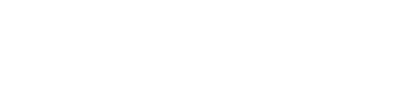 provis logo white high quality